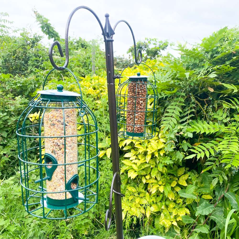 Bird Feeding Station